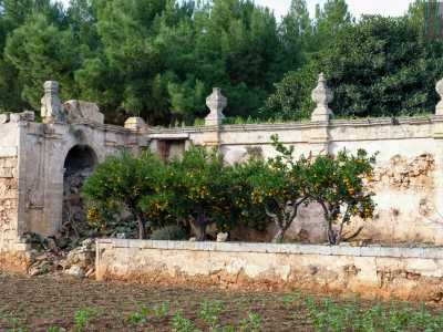 ...la cui vasca � oggi occupata da colorati alberelli di arance